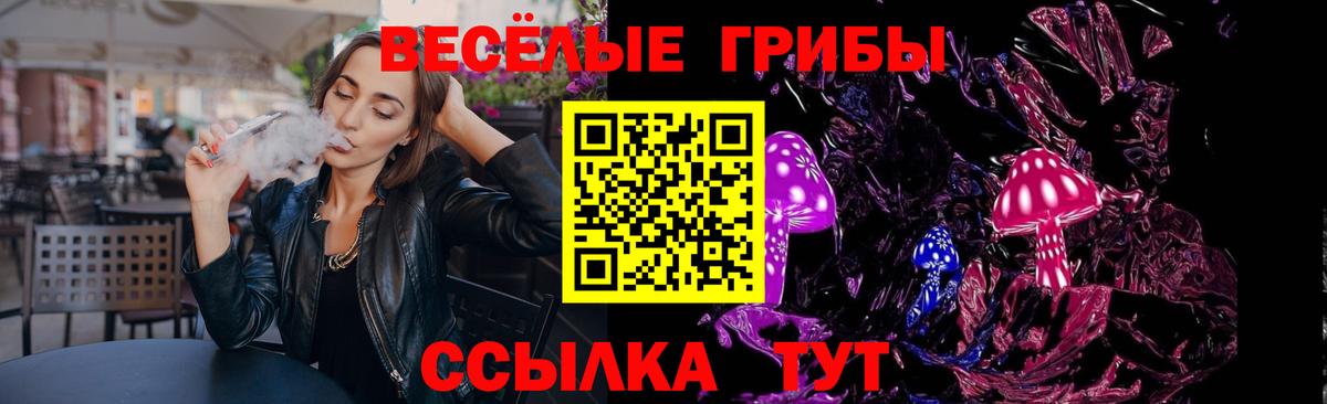 Псилоцибиновые грибы прущие грибы  Псилоцибиновые грибы прущие грибы  Вход с VPN  Ангарск 